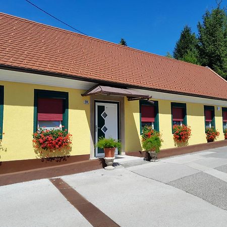 Hotel Pri Belokranjcu Ново Место Екстер'єр фото